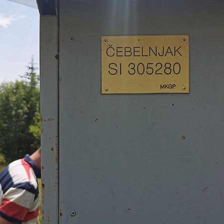 Farm Stay Pri Cepcovih Golac Eksteriør billede
