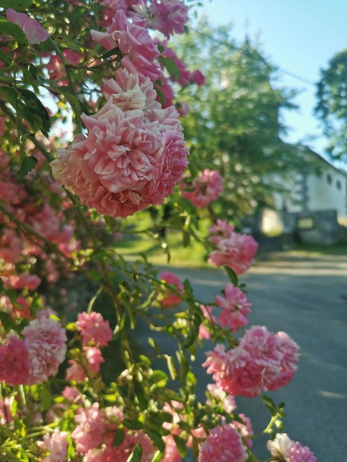 Farm Stay Pri Cepcovih Golac Eksteriør billede