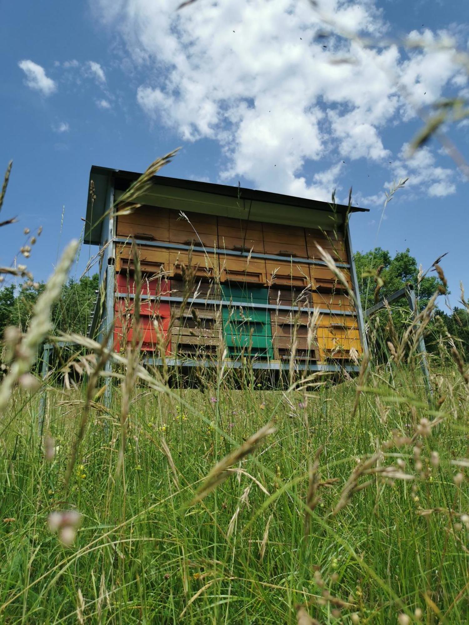 Farm Stay Pri Cepcovih Golac Eksteriør billede